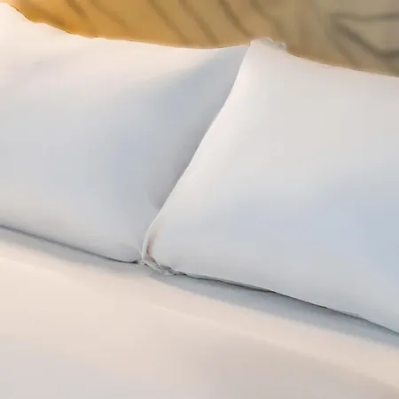 Parc Des Expositions